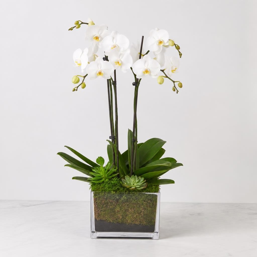 Matte Ceramic Planter