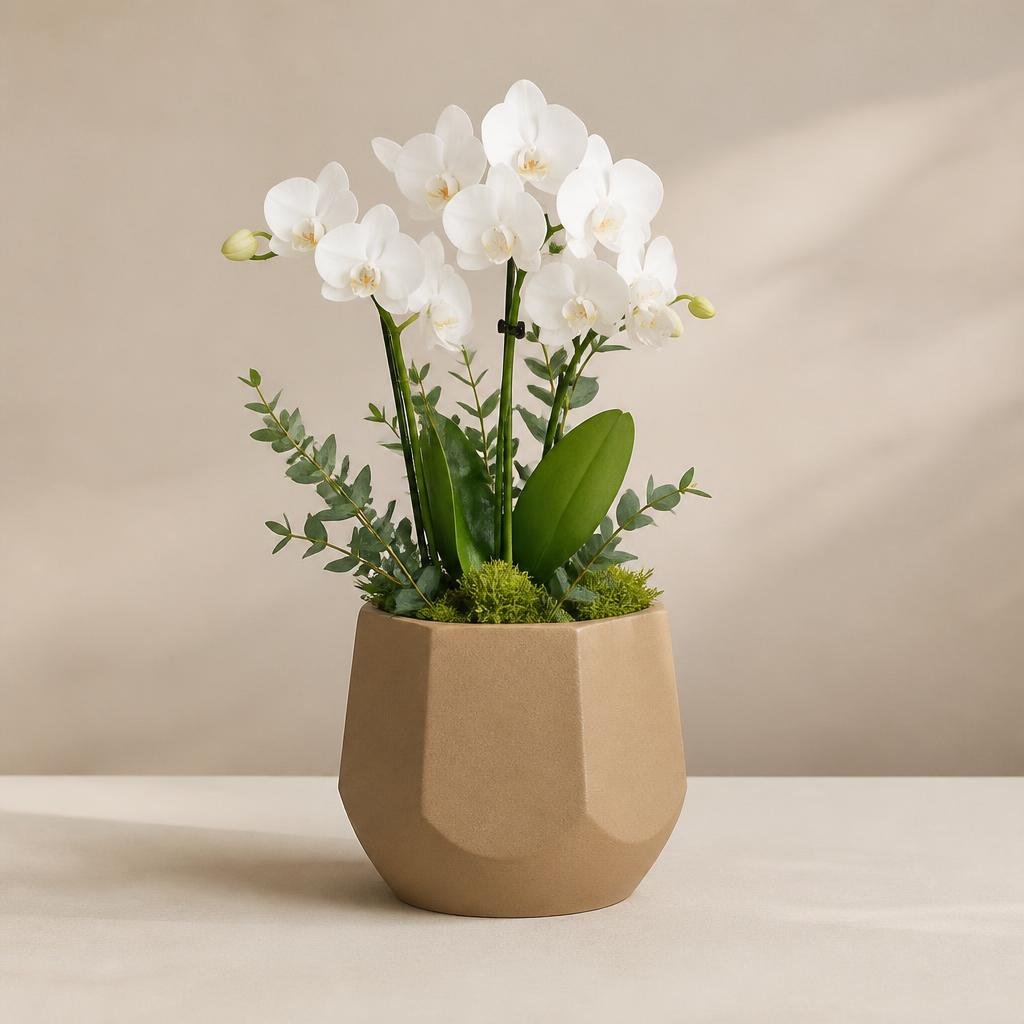 Matte Ceramic Planter