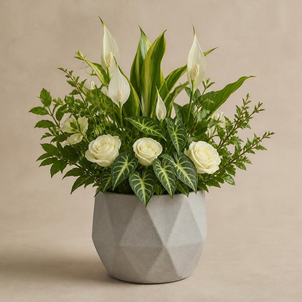Matte Ceramic Planter