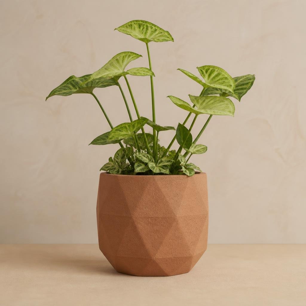 Terracotta Planter Pot